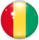 guinea_copy.png